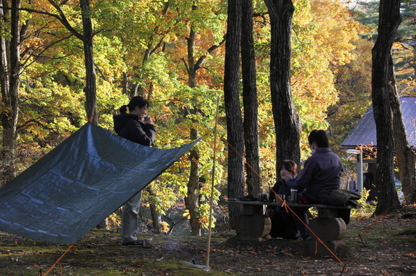 bushcraft