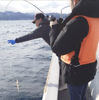 魚を釣り上げた様子
