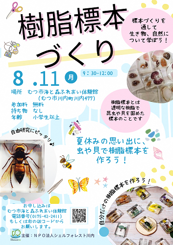 標本づくりチラシ画像