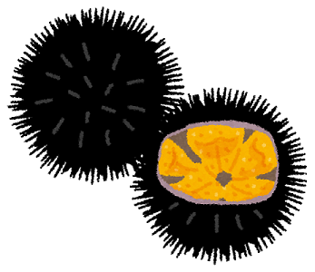 ウニイラスト画像