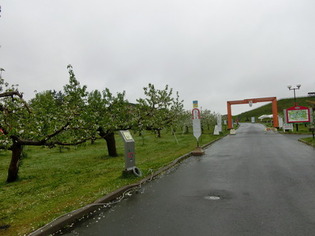 弘前市りんご公園
