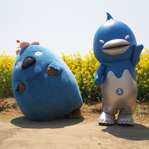 どっちがかわいい？