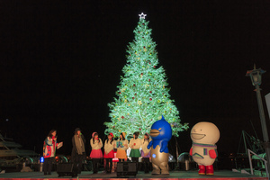 はこだてクリスマスファンタジー