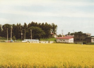 八幡崎遺跡