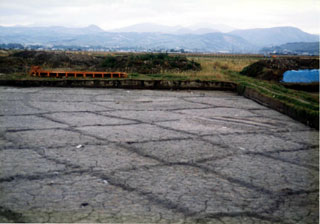 垂柳遺跡