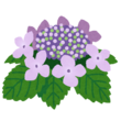 6月イベント情報