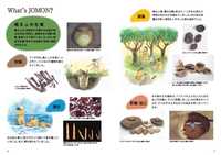 縄文ブック-What is JOMON 2