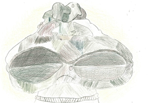 No.19