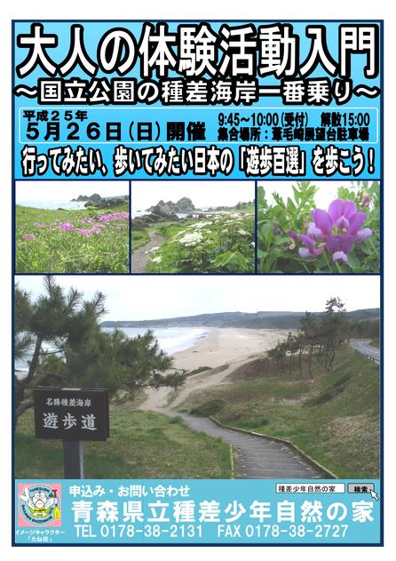 大人の体験活動入門 ポスター