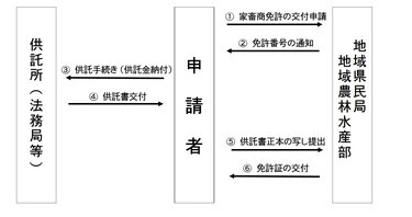 免許証申請手続き