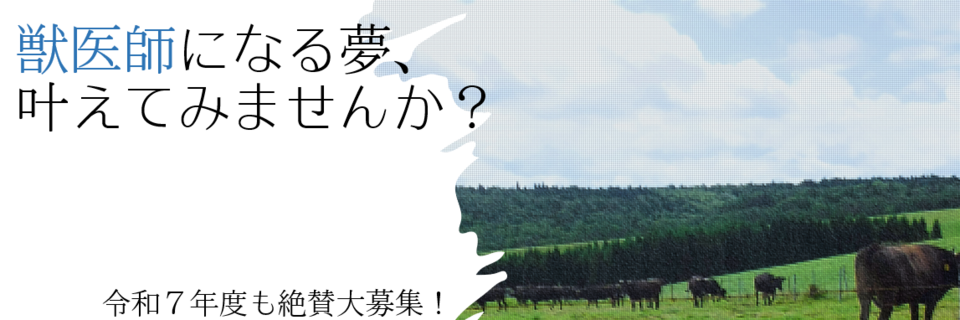 獣医師の夢、叶えてみませんか？