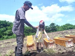 R7　清水ファーム　にんにく収穫　２－３