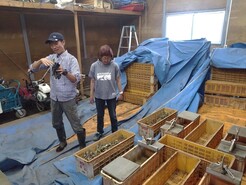 R7　清水ファーム　にんにく収穫　１－１