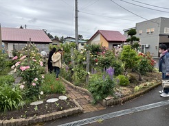 R8鎌田氏バラ4