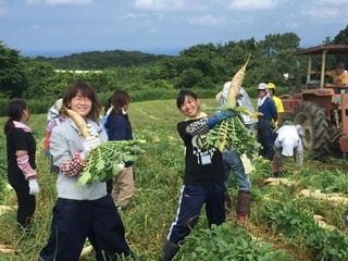 大学生インターンシップ