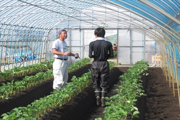 地域農業を応援する人材を募集しています 青森県庁ホームページ