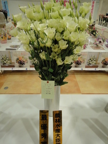 H29-saiyushu