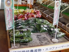 エコ農産物販売協力店