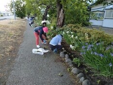 植栽活動