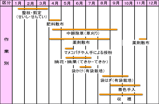 りんごができるまで 毎月の作業 作業別労働時間 青森県庁ウェブサイト Aomori Prefectural Government りんごができるまで 毎月の作業 作業別労働時間 青森県庁ウェブサイト Aomori Prefectural Government