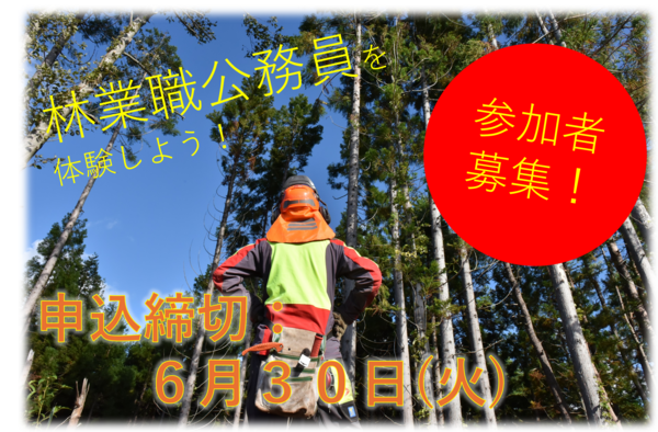 林業職インターンシップ参加者募集中!