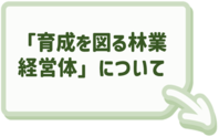 育成を図る林業経営体についてはこちらをクリック