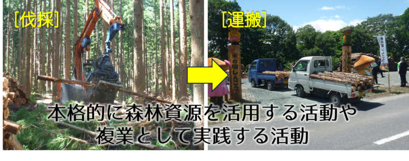 本格的な森林資源の活用の実践を支援します。