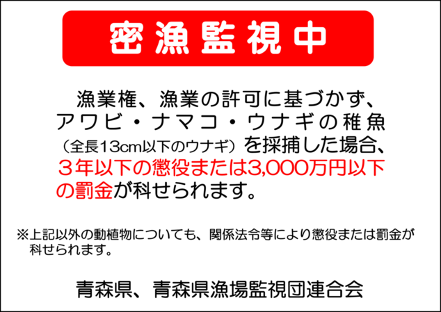 漁業権、漁業の許可に基づかず、アワビ・ナマコ・ウナギの稚魚を採捕した場合、３年以下の懲役または３千万円以下の罰金が科せられます。