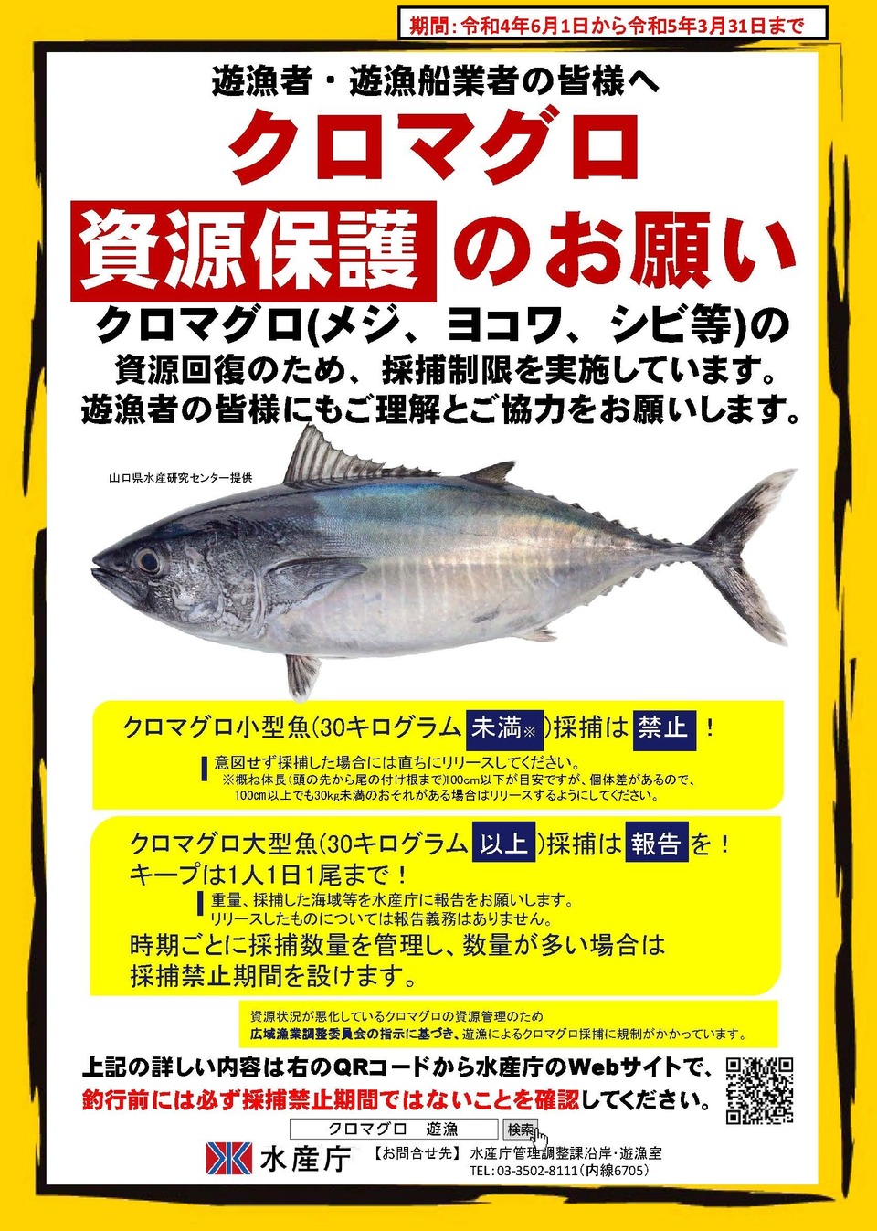 青森県水産情報 遊漁を楽しむ皆様へ 青森県沖合でクロマグロを対象とする遊漁者 遊漁船業者のみなさんへ 青森県庁ホームページ