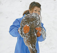 雪中切り