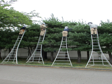実習を重視
