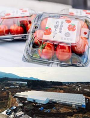 株式会社シカタ（階上町）】高糖度トマトの通年生産を実現。さらなる高