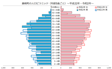 藤崎町人口ピラミッド