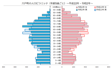 六戸町人口ピラミッド