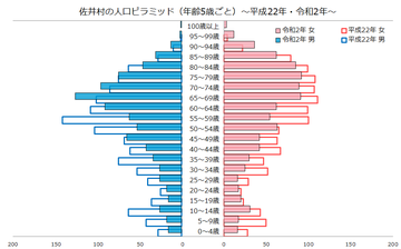 佐井村人口ピラミッド