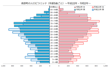 南部町人口ピラミッド