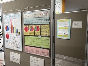 R7展示