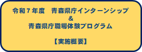 実施概要へリンク