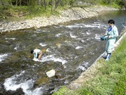 水質モニタリング(河川)