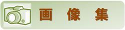 画像集