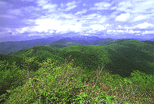 写真:二ツ森頂上から初夏の赤石川源流部を望む