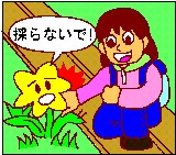 植物を採らないで! 植物を採らないで!