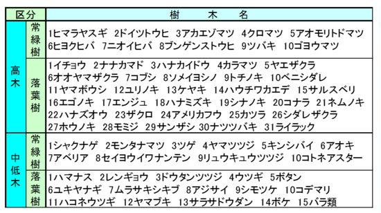 青い森公園_樹木