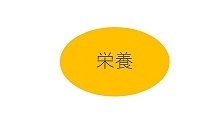 栄養