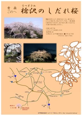 槍沢のしだれ桜
