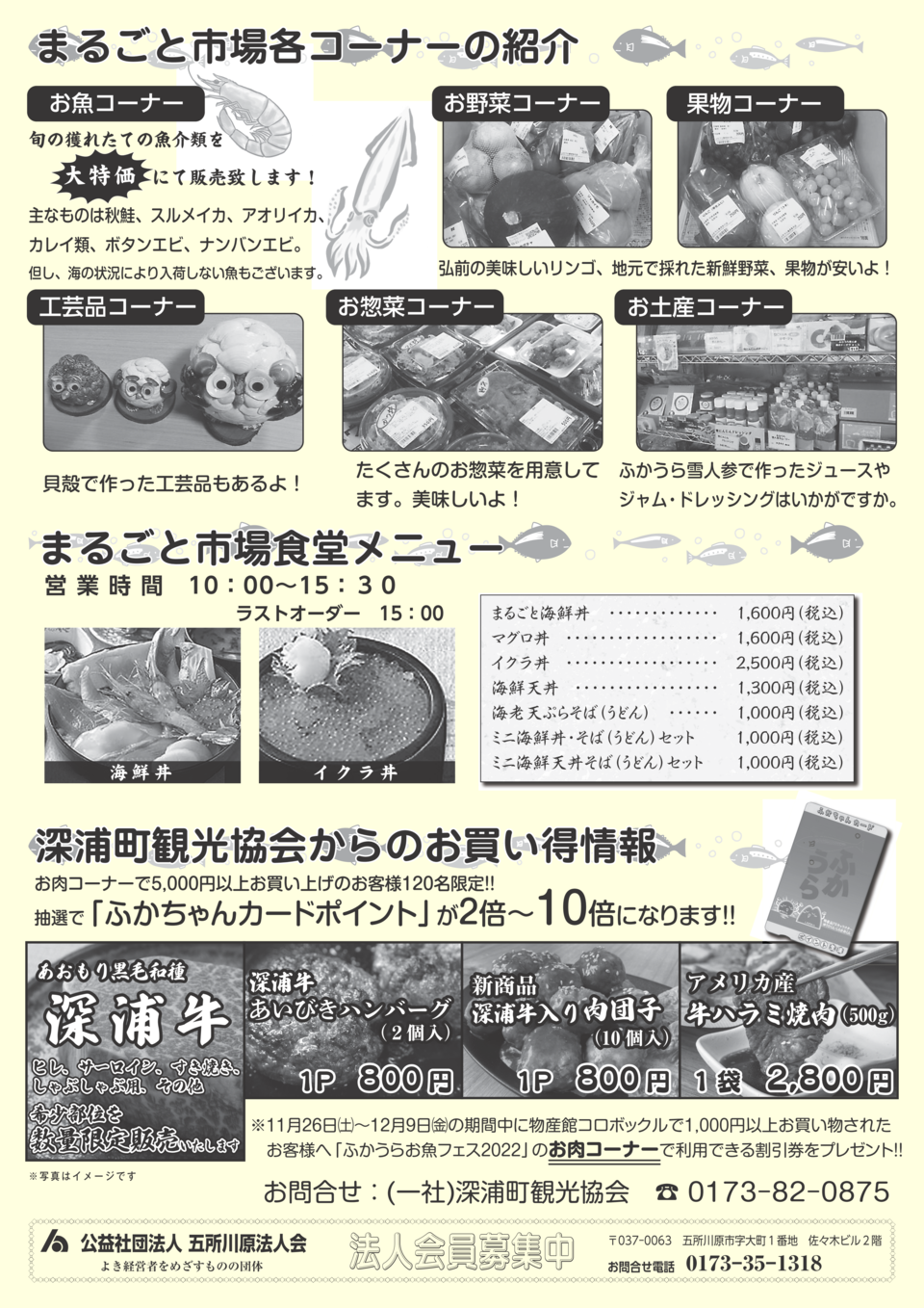 お魚フェス 裏