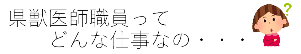県獣医師職員ってどんな仕事なの