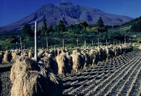 写真(岩木山と棒がけ)