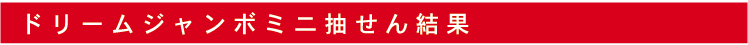 抽せん結果
